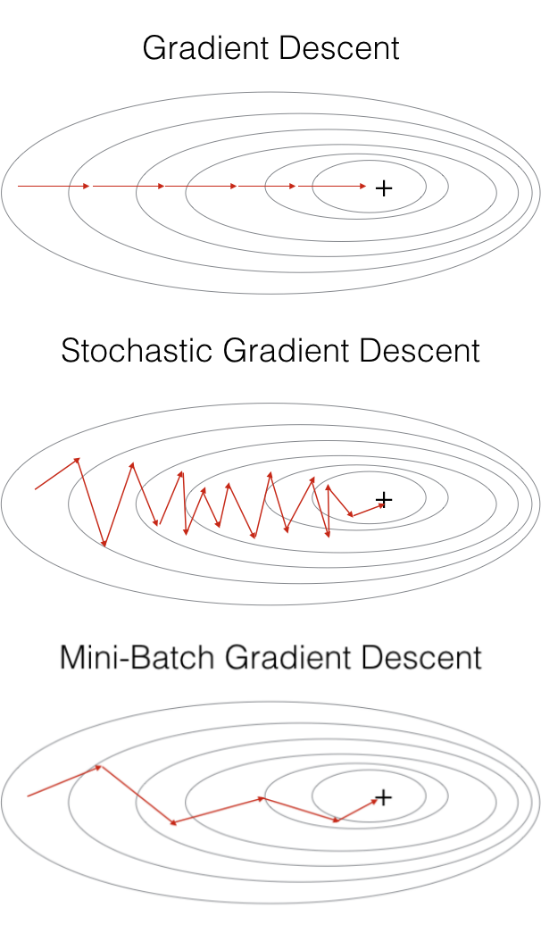 Batch gradient descent Vs Stochastic gradient descent Vs Mini batch gradient descent